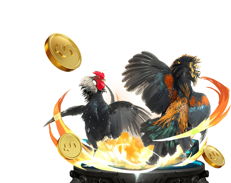 Kèo cược đá gà đa dạng